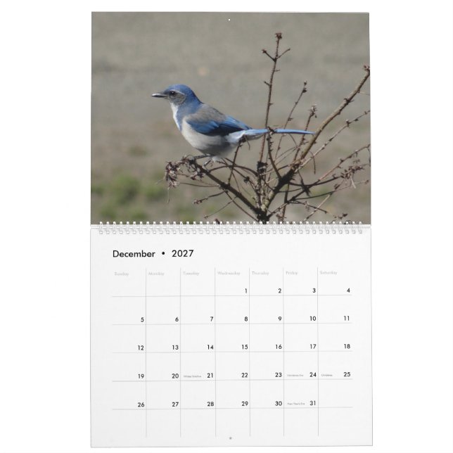 Calendario 2017 pájaros de Norteamérica (Dec 2027)