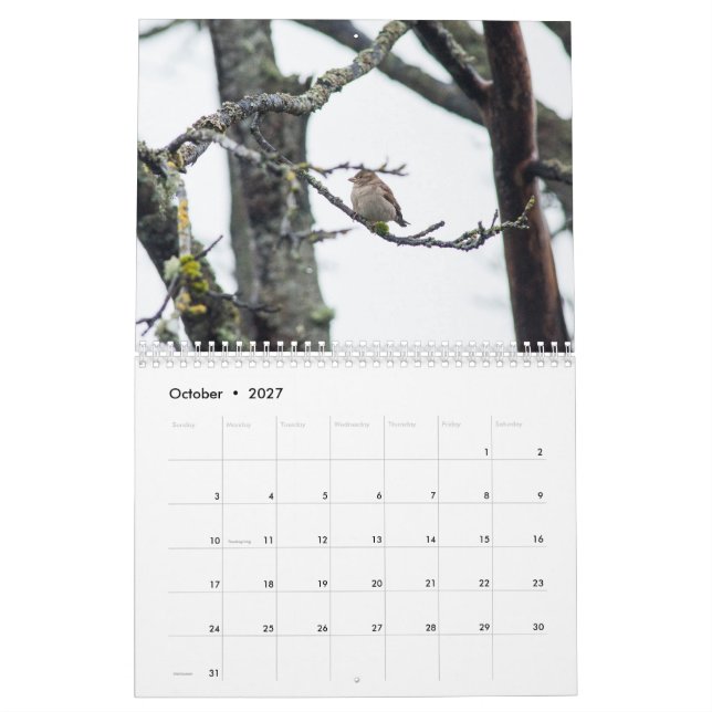 Calendario 2017 por la recaudación de Barbara (Oct 2027)