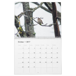 Calendario 2017 por la recaudación de Barbara