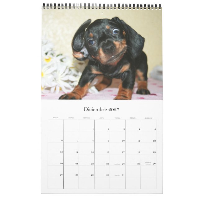 Calendario 2017 Puppy Dachshunds (Dec 2027)