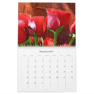 Calendario 2017-Rosas Rojas Calendario