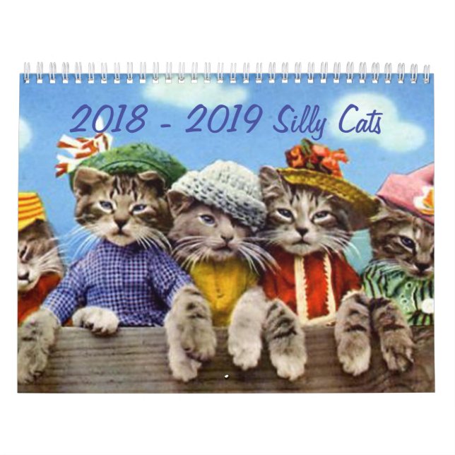 Calendario 2018 - 2019 gatos tontos (Tapa)