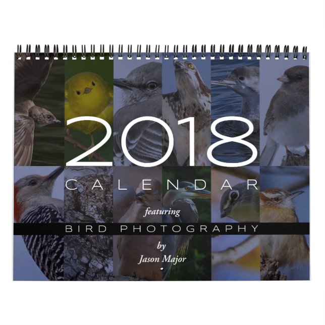Calendario 2018 de la fotografía del pájaro (Tapa)