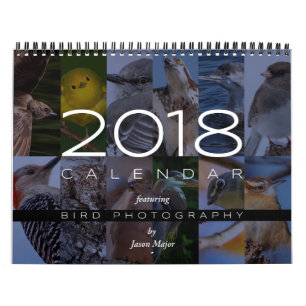 Calendario 2018 de la fotografía del pájaro