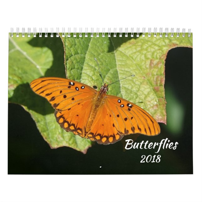 Calendario 2018 de la mariposa (Tapa)