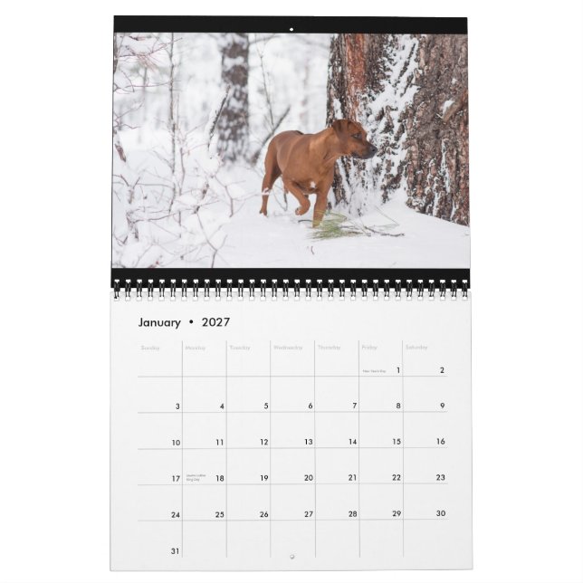 Calendario 2018 de Rhodesian Ridgeback (Jan 2027)