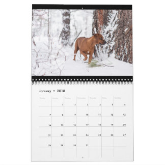 Calendario 2018 de Rhodesian Ridgeback
