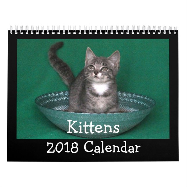 Calendario 2018 del gatito (Tapa)