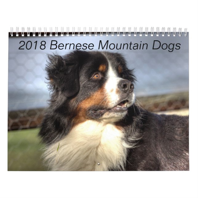 Calendario 2018 del perro de montaña de Bernese (Tapa)