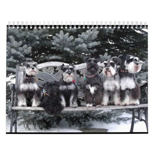 Calendario 2018 del Schnauzer (Tapa)
