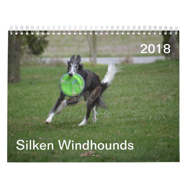 Calendario 2018 Windhounds de seda (en la acción) (Tapa)