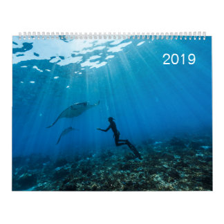 Calendario 2019 - bajo la superficie del océano