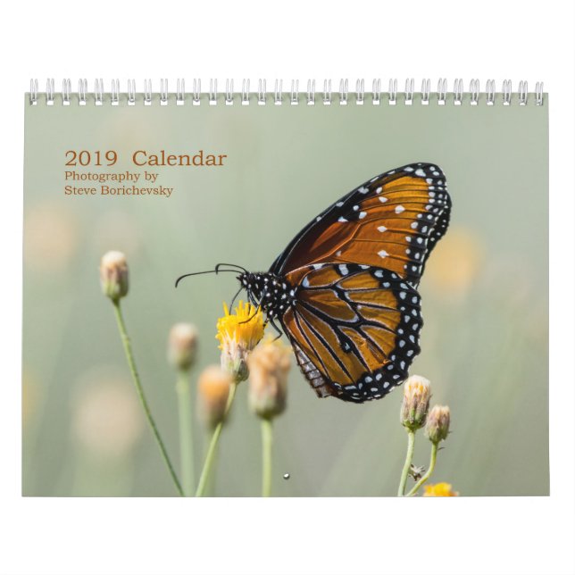 Calendario 2019 calendario, fotografía de Steve Borichevsky (Tapa)
