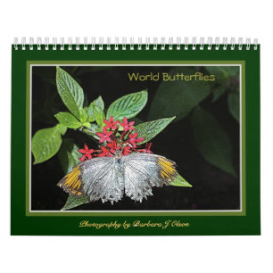 * calendario 2019 de pared de las mariposas del