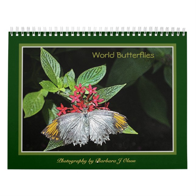 * calendario 2019 de pared de las mariposas del (Tapa)