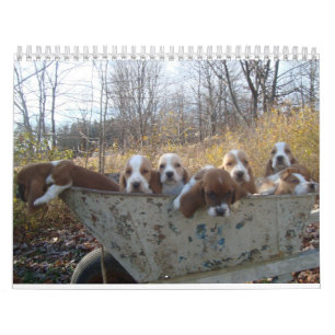 Calendario 2019 del perrito del perro de