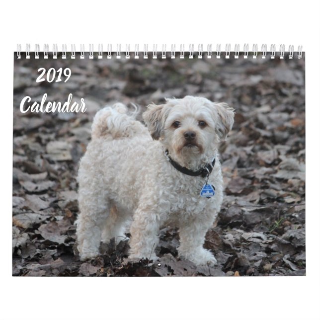 Calendario 2019 Imágenes de perro de caniche con p (Tapa)