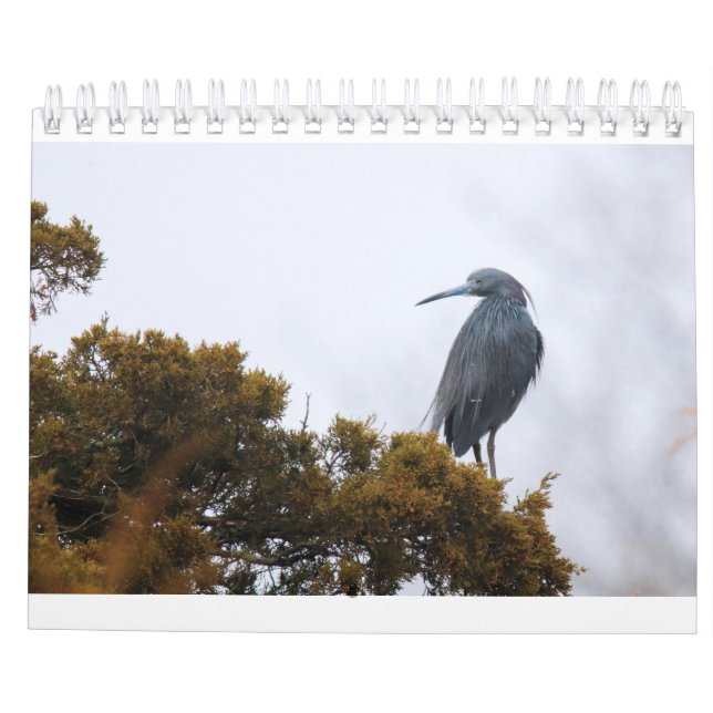  Calendario 2020 (Reverso)