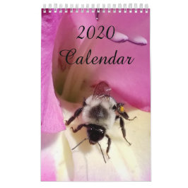  Calendario 2020