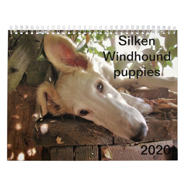Calendario 2020 Cachorros Silken Windhound (Tapa)