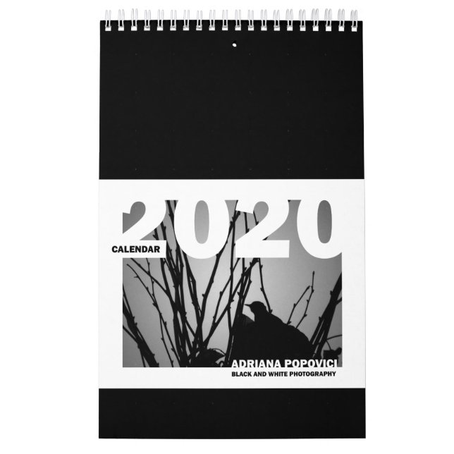 Calendario 2020: Calendario fotográfico Bella Arte (Tapa)