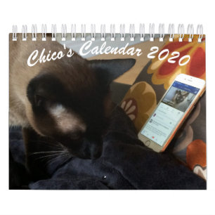 Calendario 2020 de Chico
