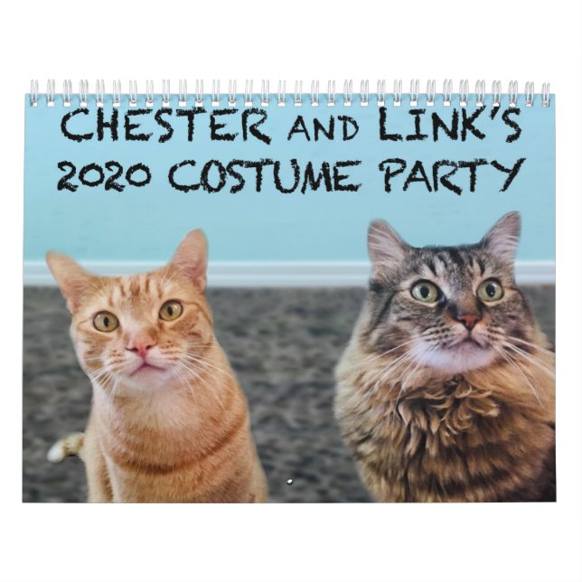 Calendario 2020 de gatos con estuche (Tapa)