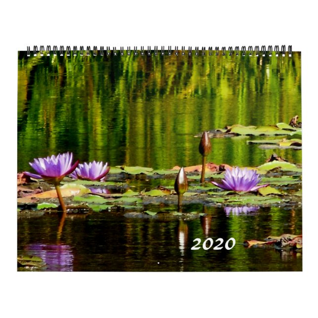 Calendario 2020 de los lirios de agua (Tapa)