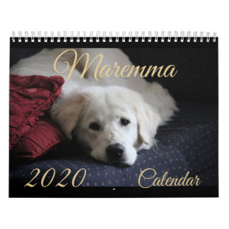 Calendario 2020 de Maremma
