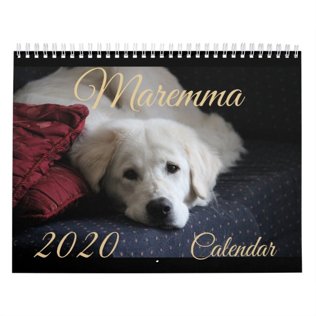 Calendario 2020 de Maremma (Tapa)