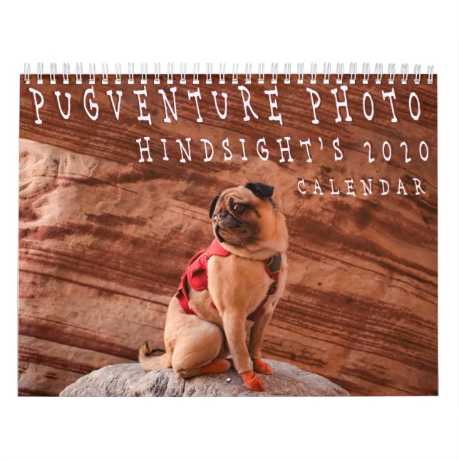 Calendario 2020 de Pugventure Photo Hindsight (Med (Tapa)