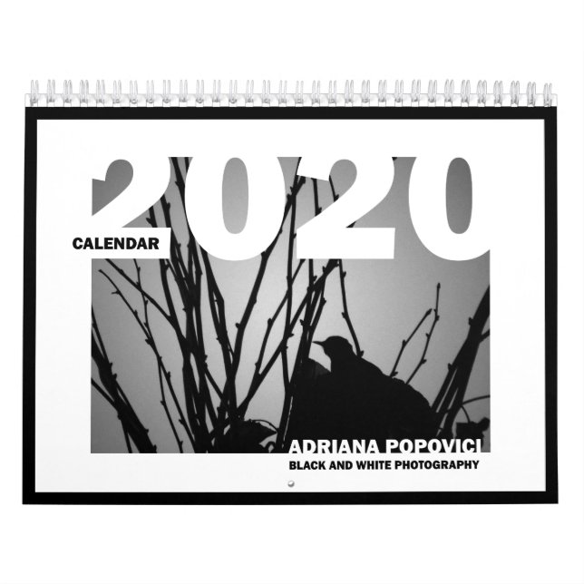 Calendario 2020: Fotografía Bella Artes de B&W (Tapa)