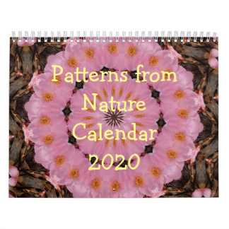 Calendario 2020 - Modelos de la naturaleza