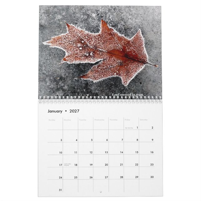 Calendario 2021 (Jan 2027)