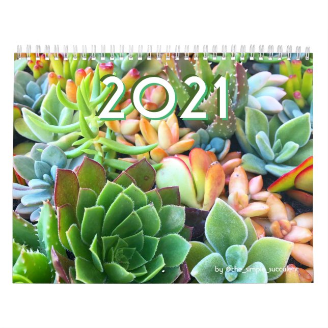 Calendario 2021 colorido y exitoso de plantas (Tapa)
