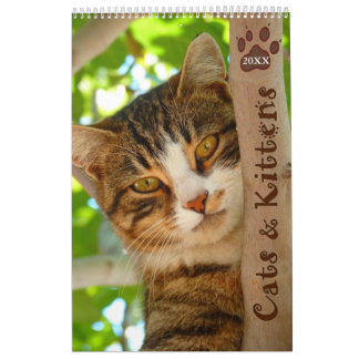 Calendario 2021 de gatos y gatitos de manera activ