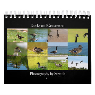 Calendario 2021 de la fotografía paquistaní y gees