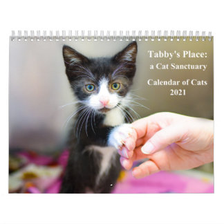 Calendario 2021 de lugar de tabby