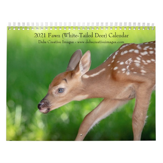 Calendario 2021 Fawn (ciervo de cola blanca) (Tapa)