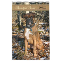 2021 Hermoso Perro Boxer