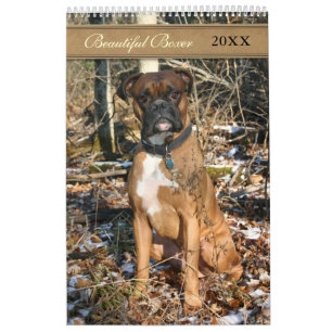 Calendario 2021 Hermoso Perro Boxer