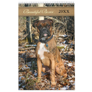 Calendario 2021 Hermoso Perro Boxer
