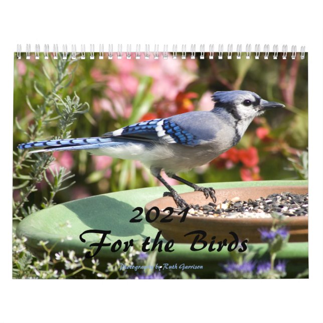 Calendario 2021 por los pájaros (Tapa)