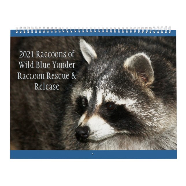 Calendario 2021 Racconos de yonder azul silvestre (Tapa)
