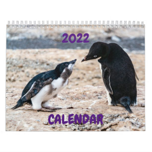 Calendario 2022 - Antártida
