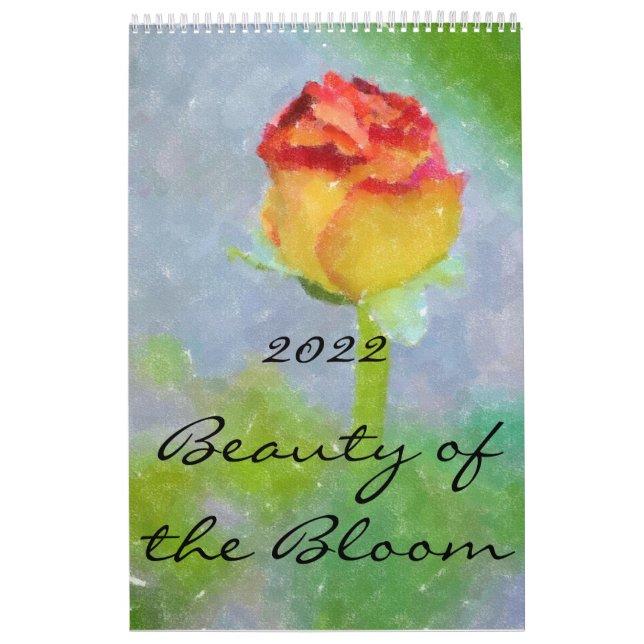 CALENDARIO 2022:  BELLEZA DEL SALÓN (Tapa)