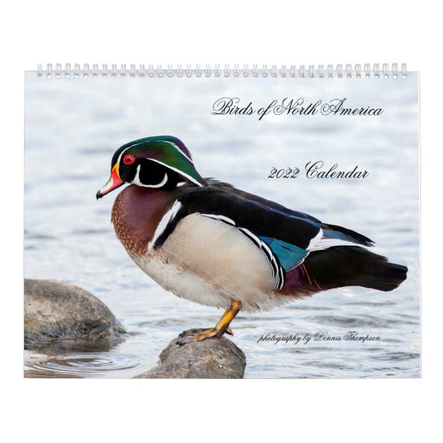 Calendario 2022 Birds of North America Calendar (Tapa)