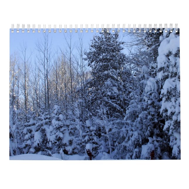 Calendario 2022 Calendar Nature in Winter  (Reverso)