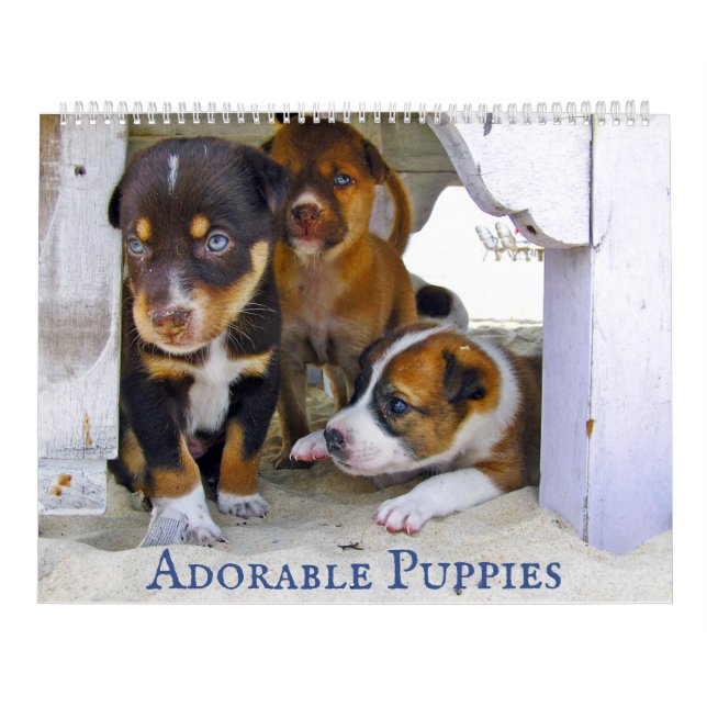 Calendario 2022 de los Cachorros Adorables (Tapa)