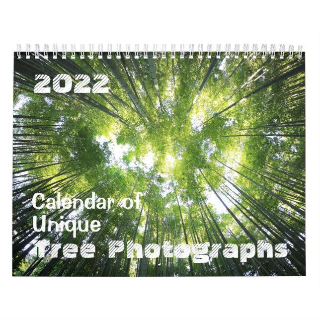 Calendario 2022 de Personalizar único de fotografí (Tapa)